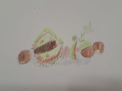 Zajęcia plastyczne 30.09.23